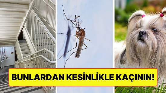 Bütün Düşünülenlerin Aksine Her Yıl Yüz Binlerce Kişinin Ölümüne Sebep Olan 15 Unsur