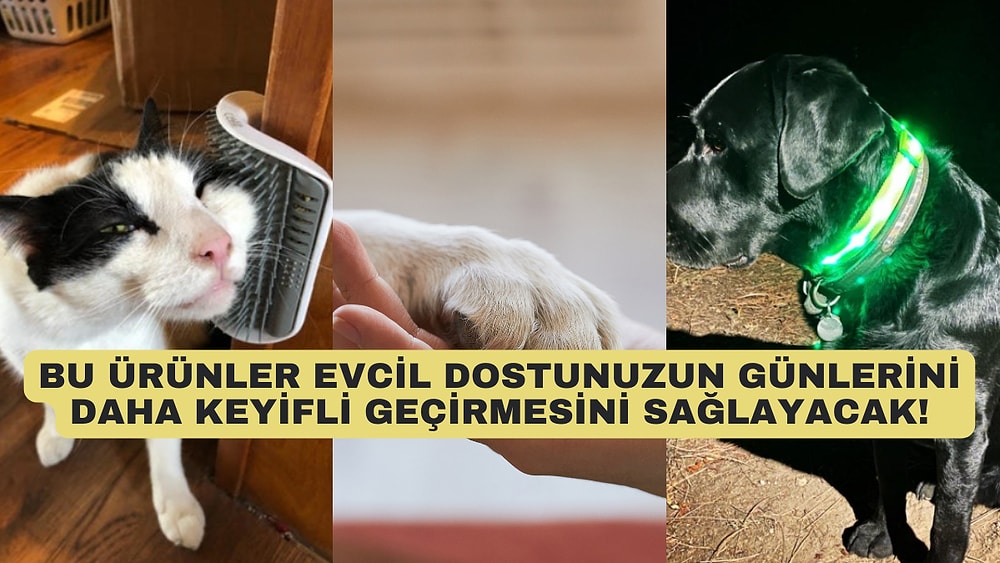 Evdeki Dostlarımız İçin Muhteşem Olduğu Söylenen 12 Ürün