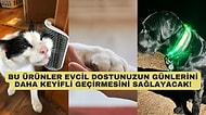Evdeki Dostlarımız İçin Muhteşem Olduğu Söylenen 12 Ürün