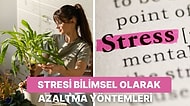 Stresi Azaltmanın Bilimsel Yollarını Sizin İçin Derledik!