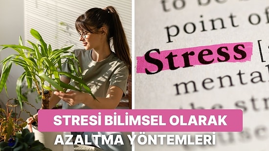 Stresi Azaltmanın Bilimsel Yollarını Sizin İçin Derledik!
