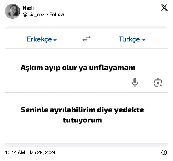 Sizin çeviri örneğiniz ne?