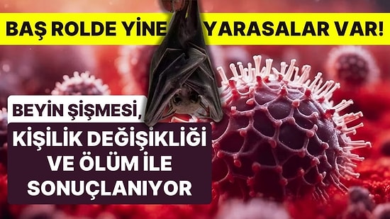 DSÖ 'Pandemi Riski' Olarak Değerlendirdi! Vakalar, Ölüm ve Kişilik Değişikliği ile Sonuçlanıyor