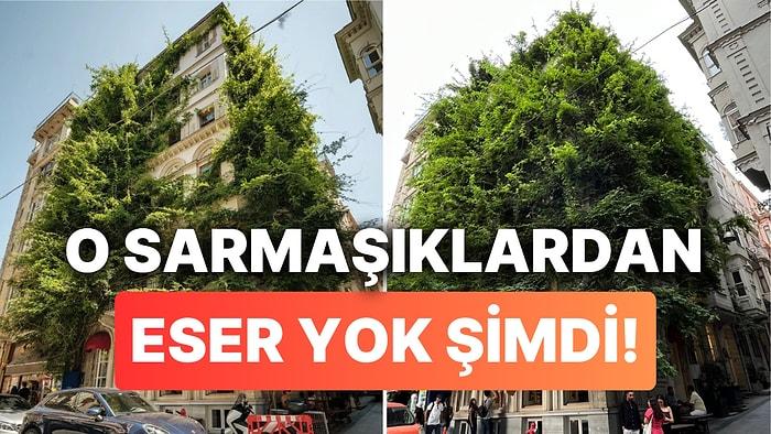 Onu Hiç Böyle Görmediniz: İstanbul'un İkonik Sarmaşıklı Binasının Sarmaşıkları Budandı