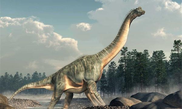 Çalışmalara göre 'Sauropodlar' ise en uzun ömürlü dinozor türü ve onların ömrü ise en fazla 60 yıl. Bazı küçük dinazor türleri doğduktan sonra ise 3 ila 5 yıllık bir süre içinde sınır boyutlarına ulaşıyor ve ondan sonra fazla yaşamıyordu.