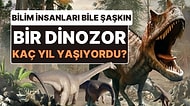 Bilim İnsanları Bu Kadarını Beklemiyordu: Bir Dinozor Kaç Yıl Yaşar?