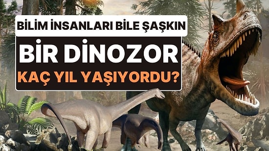 Bilim İnsanları Bu Kadarını Beklemiyordu: Bir Dinozor Kaç Yıl Yaşar?