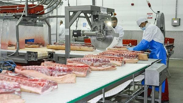 Rusya’da et üretiminde yeterlilik oranı yüzde 100,8 olurken Türkiye'de bu oran yüzde 60 oluyor.