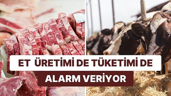 Türkiye'de Et Tüketimi Alarm Veriyor: Son Yıllarda Büyük Çöküş!