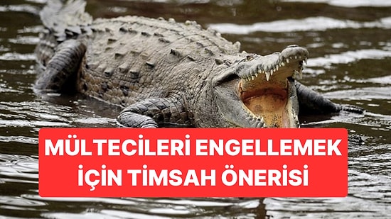 ABD’de Mülteci Krizi: Timsahlı Önlem Önerisi Tepki Çekti
