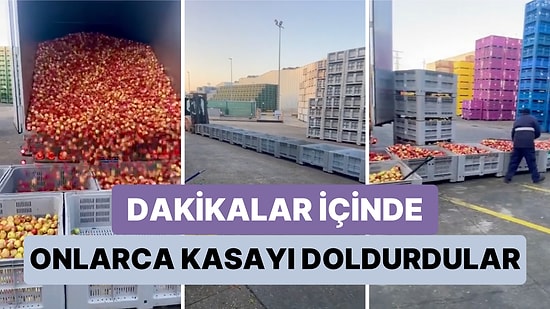 Bir Grup İşçinin Elmaları Kamyondan Kasaya Yüklemek İçin Bulduğu Basit ama Etkili Yöntem Beğeni Topladı