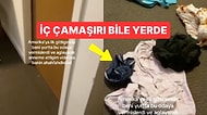Amerika'daki Bir Türk Öğrencinin Yurt Odasında Karşılaştığı Pis Manzara Mide Bulandırdı!