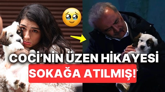 İnci Taneleri'nin Minik Emekçisi Coci'nin Yılmaz Erdoğan Tarafından Sahiplenilerek Kadroya Dahil Olma Hikayesi