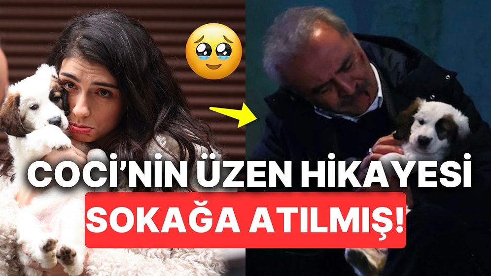 İnci Taneleri'nin Minik Emekçisi Coci'nin Yılmaz Erdoğan Tarafından Sahiplenilerek Kadroya Dahil Olma Hikayesi