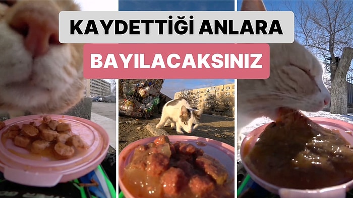 Uzaktan Kumandalı Arabasına Koyduğu Mamayla Kedilere Ziyafet Çektiren Adamın Kaydettiği Anlara Bayılacaksınız