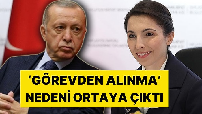 Hafize Gaye Erkan İstifa Etmişti: Cumhurbaşkanı Erdoğan 'Mağdur' Etmemiş: İki Yıl Maaş Alacağı Ortaya Çıktı