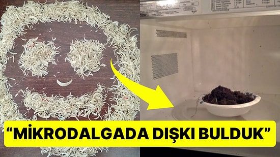 Misafirlerin Çıkış Yaptıkları Odalarda Bıraktıkları Şeyleri Duyunca Bir Daha Otele Gitmek İstemeyeceksiniz!