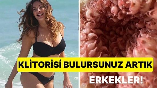 Kadın Cinsel Organının Mikroskopla Görüntülenmiş Hali Herkesin Kafasını Çok Fena Karıştırdı