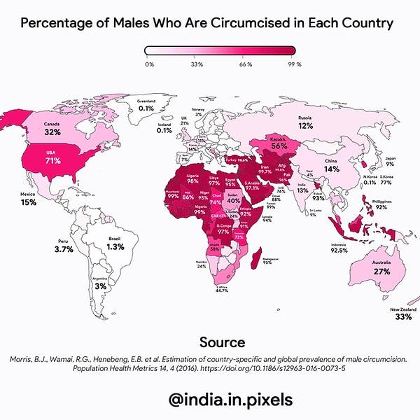 12. Her ülkede sünnet edilen erkeklerin yüzdesi.
