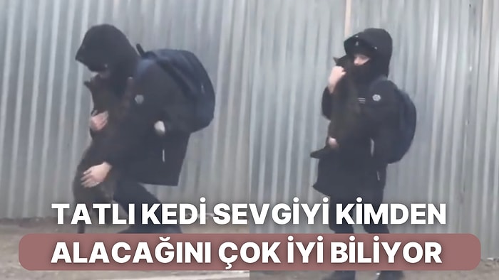 Sevgi Arsızı Kedi ile Onu Sevmelere Doyamayan Çocuğun Romantik Anlarına Kalbiniz Eriyecek