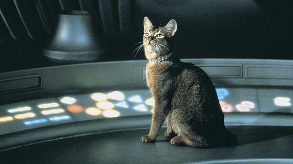 15. The Cat from Outer Space, 1978