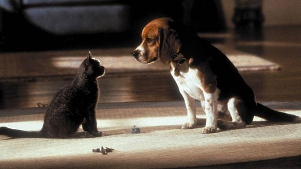 18. Cats & Dogs, 2001