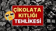 Kakao Ağaçlarını Hastalık Vurdu! Kapıda Bekleyen 'Üzücü' Gelişme: Çikolata Kıtlığı Başlayabilir