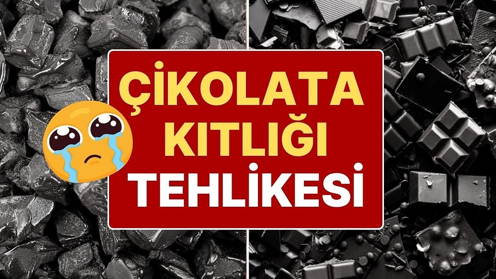 Kakao Ağaçlarını Hastalık Vurdu! Kapıda Bekleyen 'Üzücü' Gelişme: Çikolata Kıtlığı Başlayabilir