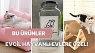 Evinizin Dekoruna Mükemmel Bir Şekilde Uyum Sağlayacak Evcil Hayvan Eşyaları