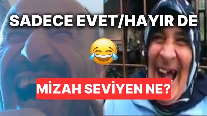 Mizah Seviyen Ne?