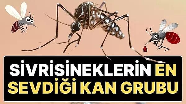 Yapılan bir araştırmaya göre; sivrisinekler tarafından, ısırılma oranı en yüksek olan kan grubu belli oldu.