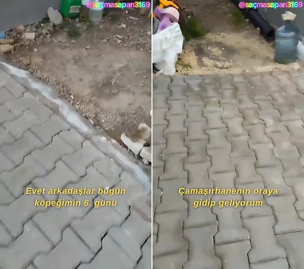 'Evet arkadaşlar bugün köpeğimin 6. günü' diyerek büyük bir heyecanla köpeğini arayan ve o anları da kaydetmek isteyen çocuk, bir türlü Tosun'u bulamıyor.