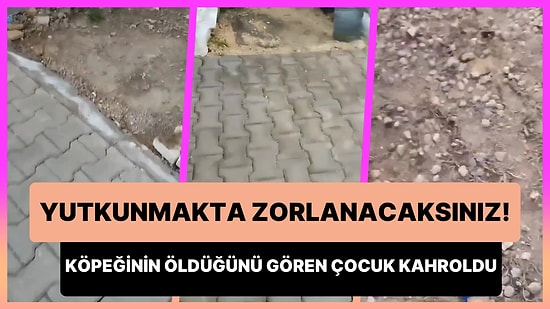 Beslemek İçin Okula Gitmediği Tosun İsimli Köpeğinin Öldürüldüğünü Gören Çocuğun Kahrolduğu Anlar