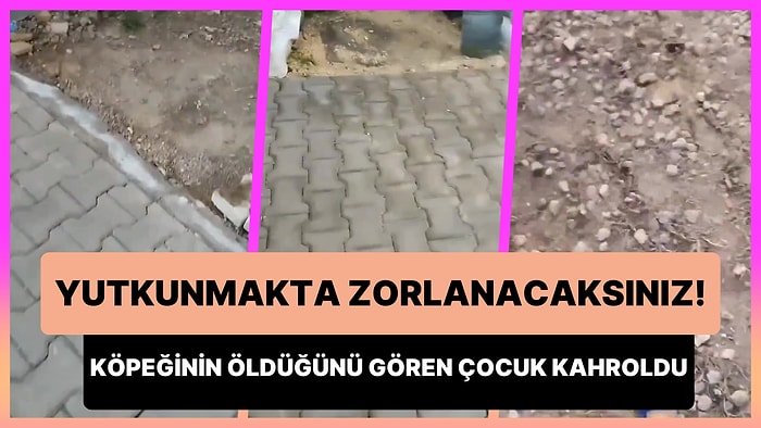 Beslemek İçin Okula Gitmediği Tosun İsimli Köpeğinin Öldürüldüğünü Gören Çocuğun Kahrolduğu Anlar