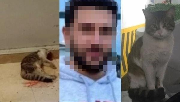 Olayın sosyal medyada yayılması üzerine chance.org'da da İbrahim Keloğlan'ın tutuklanması için kampanya başlatıldı. Kampanya kapsamında 33 bin 230 imza toplandı.