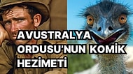 Tarihin En Garip Savaşı!  Avustralya Devleti,  Emu Kuşlarına Karşı!  Kimin Kazandığını Mutlaka Okumalısınız