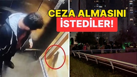 Katilin Evinin Önündeydiler: Canice Öldürülen Kedi için Vatandaş Tüm Gece Ayaktaydı!
