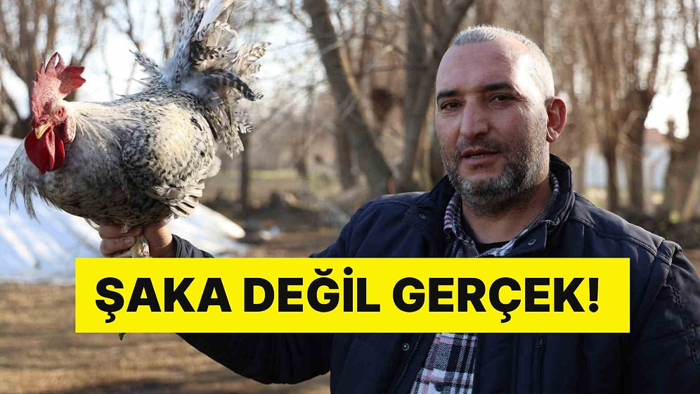 Şaka Değil Gerçek: Kesilmek Üzere Olan Horoz 'Anne' Diye Bağırdı