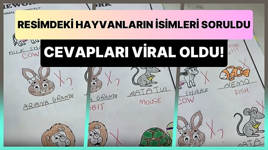 Resimdeki Hayvanların İsimlerini Yazması İstenen Çocuğun Animasyonların Etkisinden Çıkamadığı Efsane Ödevi