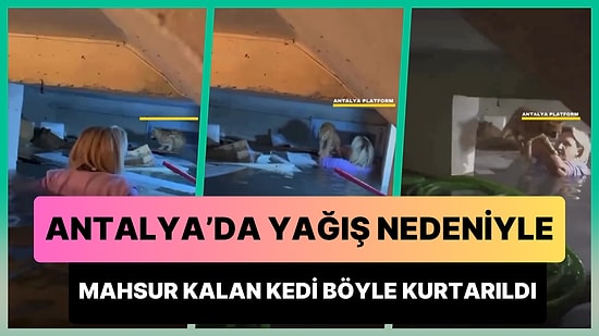 Antalya'da Meydana Gelen Kuvvetli Yağış Sonrasında Bodrum Katta Mahsur Kalan Kedi Böyle Kurtarıldı