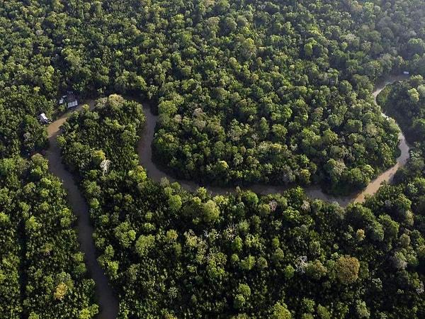 Amazon yağmur ormanları için de benzer şekilde ciddi iklim değişiklikleri öngörülüyor. Yağış modellerindeki değişiklikler, kurak mevsimin yağışlı mevsime veya tam tersine dönüşebileceğini gösteriyor, bu da Amazon'un ekosistemini derinden etkileyebilir.