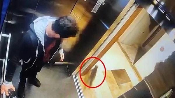 İstanbul'un Küçükçekmece semtindeki bir sitede asansöre bindiği esnada 'Eros' isimli kediyi gören İbrahim Keloğlan 6 dakika boyunca işkence ettiği canlıyı öldürdü.