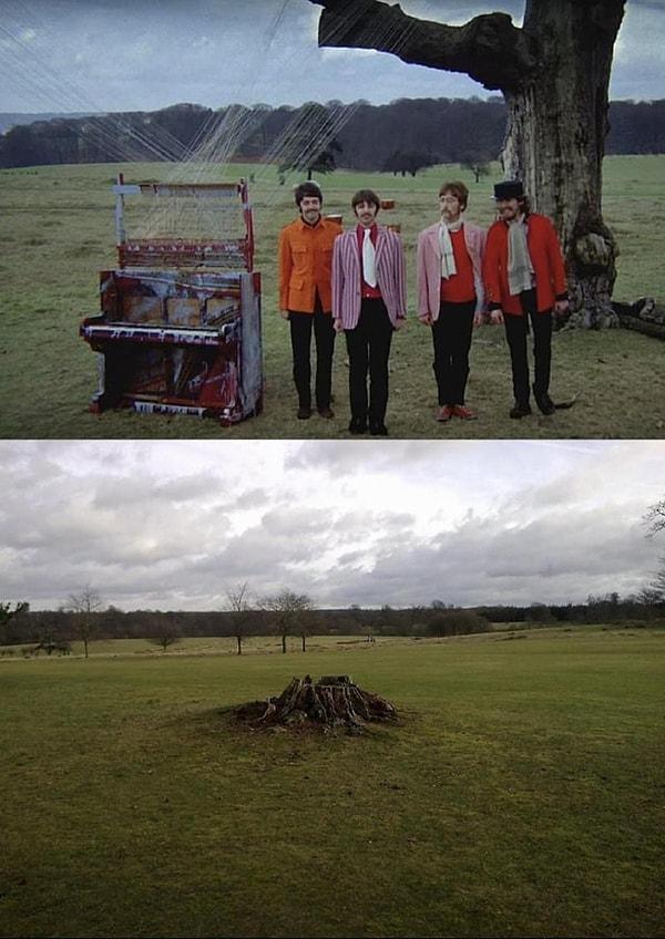 Filming location of the "Strawberry Fields Forever" music video: Knole Park, Kent.