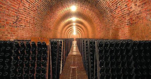 8. Champagne Hillsides, Houses and Cellars -  France
