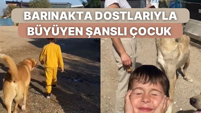 Barınakta Hayvan Dostlarıyla Sıkça Vakit Geçirerek Büyüyen Tatlı Çocuğun Şansına İmreneceksiniz