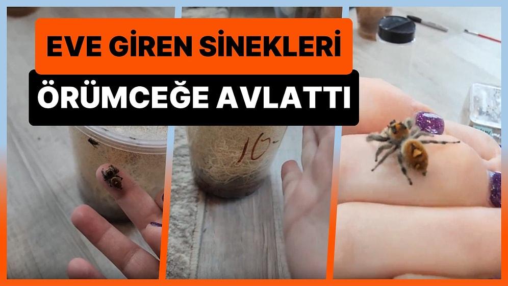 Eve Giren Sinekleri Öldürmek İçin Beslediği Örümceği Kullanan Bi' Acayip Kadın
