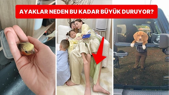 İlk Bakışta Anlam Veremeyerek Durup Dururken Beyninizin Ayarlarıyla Oynayan Birbirinden İlginç Görseller