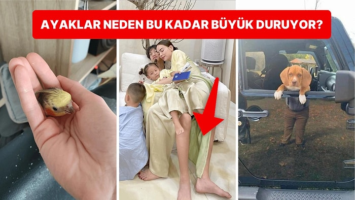 İlk Bakışta Anlam Veremeyerek Durup Dururken Beyninizin Ayarlarıyla Oynayan Birbirinden İlginç Görseller