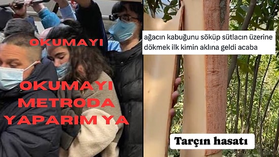 Okumayı Metroya Bırakanlardan Sütlaca Tarçın Dökmeyi İcad Eden Kişiye Son 24 Saatin Viral Tweetleri