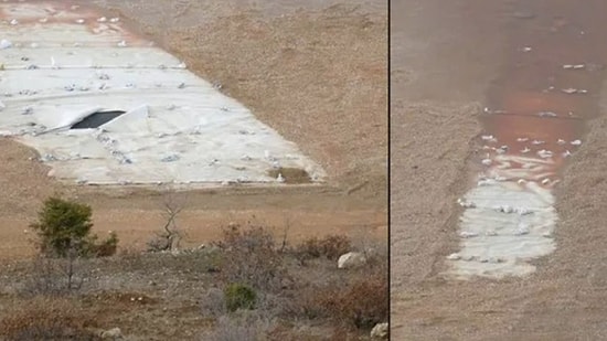 "Altın Madeninde Siyanür Havuzundaki Ölü Kuşlar" İddiasına Yalanlama Geldi